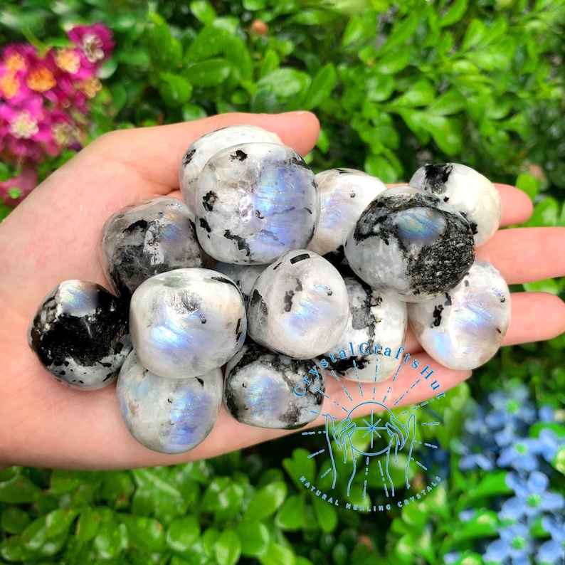 May include: A collection of rainbow moonstone tumbled stones. The stones are a milky white color with black inclusions and iridescent flashes of blue, green, and purple.