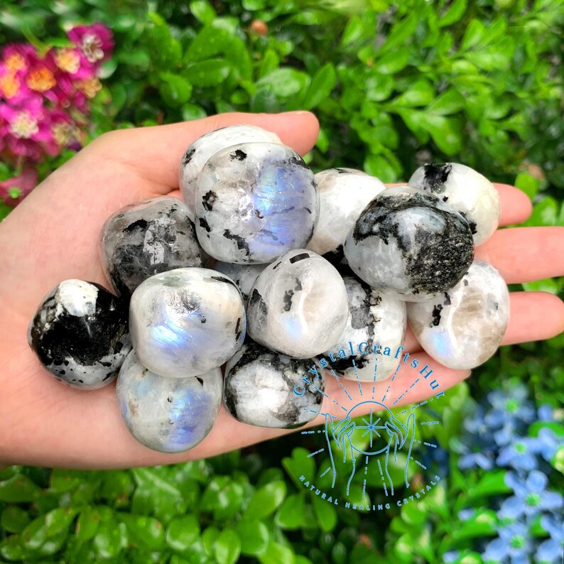 May include: A collection of tumbled rainbow moonstone stones with black inclusions. The stones are smooth and polished, with a variety of sizes and shapes. The stones are arranged in a hand, with the fingers visible.