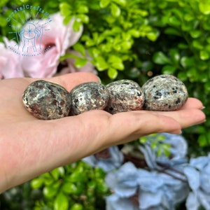 May include: Four polished, speckled stones in shades of gray, black, and red are held in a hand. The stones have a rounded shape and a slightly reflective surface. The background features green foliage and pink and blue flowers.