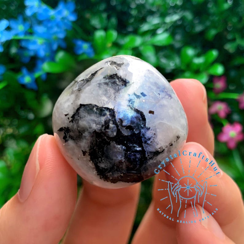 May include: A white and black moonstone tumbled stone with iridescent blue and green flashes. The stone is smooth and polished, and it is being held in a hand.