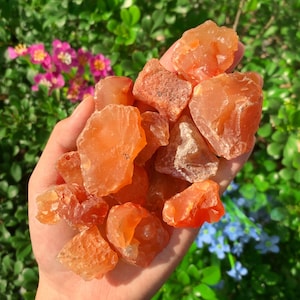 May include: A collection of carnelian crystals in various sizes and shapes. The crystals are a deep orange color and have a natural, rough texture.