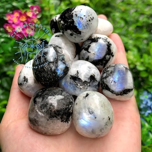 May include: A collection of tumbled rainbow moonstone stones. The stones are white with black markings and have a iridescent sheen.