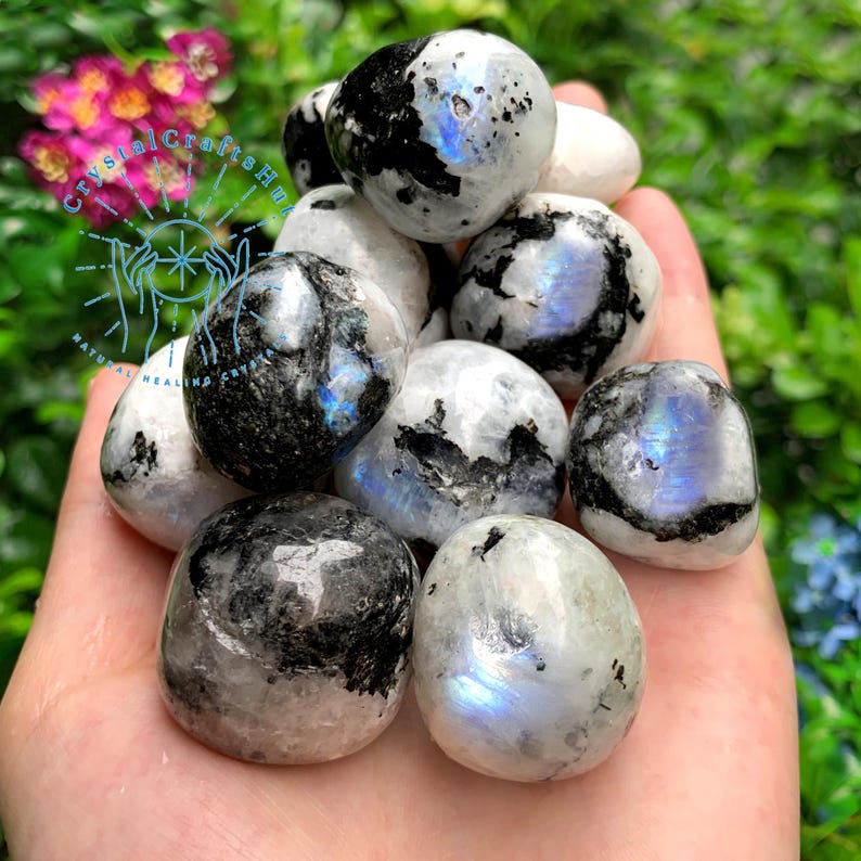 May include: A collection of tumbled rainbow moonstone stones. The stones are white with black markings and have a iridescent sheen.
