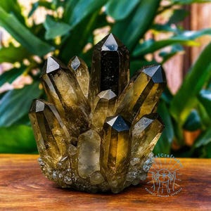 Raw Smoky Quartz Cluster AAA+ Rough Geode Quartz Cluster Rock Crystal Quartz Cluster Home Decor Tawny Crystal Point Tower Yoga Crystal Gift