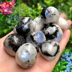 May include: A collection of tumbled rainbow moonstone stones with black inclusions. The stones are smooth and polished, with a variety of shapes and sizes.