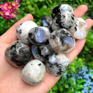 May include: A collection of tumbled rainbow moonstone stones. The stones are a mix of white, gray, and black with iridescent blue and purple flashes.