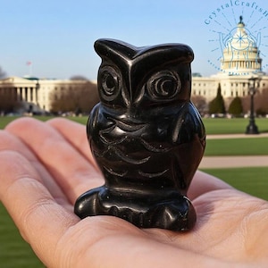 Obsidian Owl Figurine Hand Carved Miniature Stone Animal Figures Night Owl Statue Mineral Black Obsidian Carving Home Decor Christmas Gift