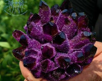 Améthyste en grappe, violet foncé fantôme fantôme, quartz, géode, grappe, collection de spécimens minéraux, décoration d'intérieur, tour d'améthyste brute, cadeau en cristal