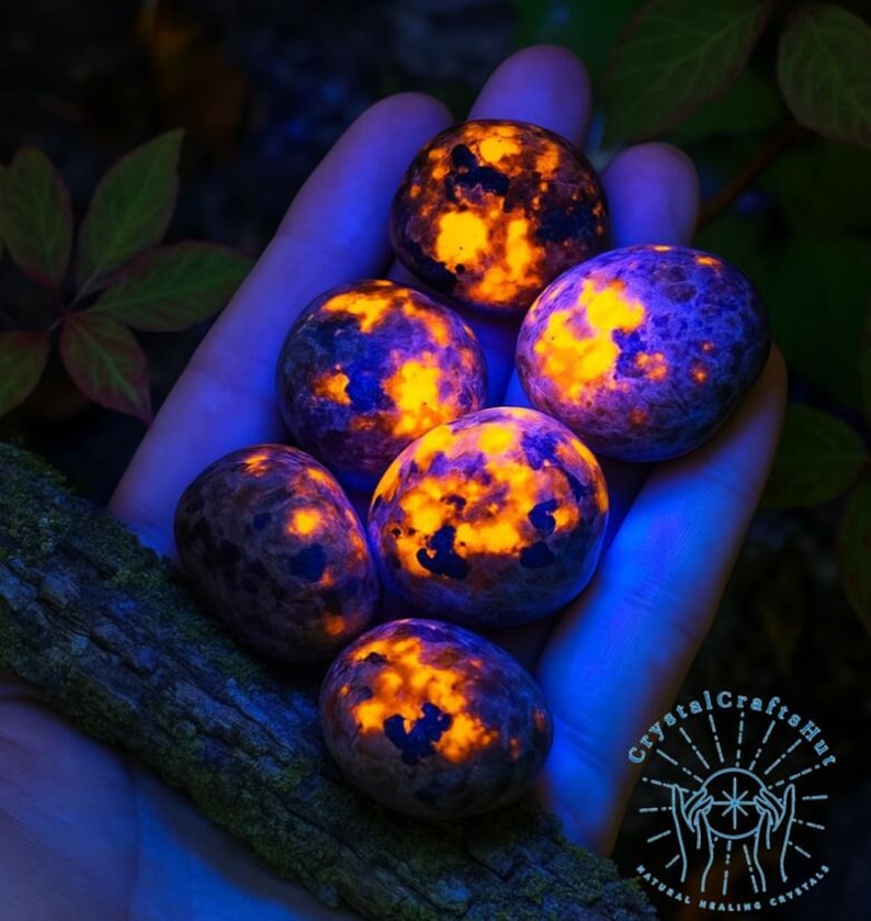 May include: A hand holds six glowing stones. The stones have a dark purple base color with vibrant orange and yellow patterns. The stones are smooth and round, with a natural, organic appearance. The background is dark, with hints of green foliage.