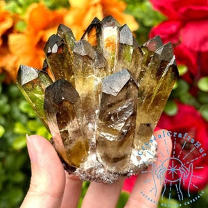 Natural Smoky Quartz Cluster Mineral Specimen Really Rare Raw Tawny Quartz Crystal Cluster Rough Geode Crystal Tower Home Decor Unique Gift