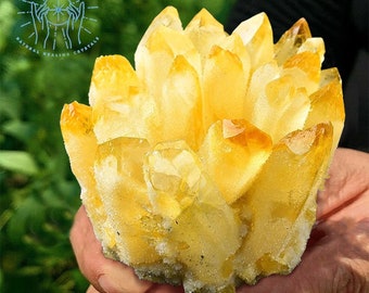 Raw Yellow Ghost Quartz Crystal Cluster Rough Geode Quartz Cluster Rock Crystal Cluster Collection Yellow Crystal Tower Rare Crystal Gift