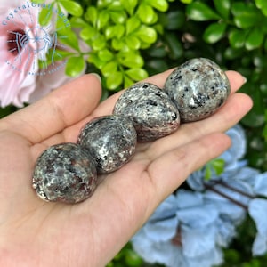 May include: Four polished, rounded stones with a speckled gray and black pattern are held in a hand. The stones have a smooth, reflective surface. The background features green foliage and a pink flower, with the CrystalCraftsHut logo in the upper left corner.