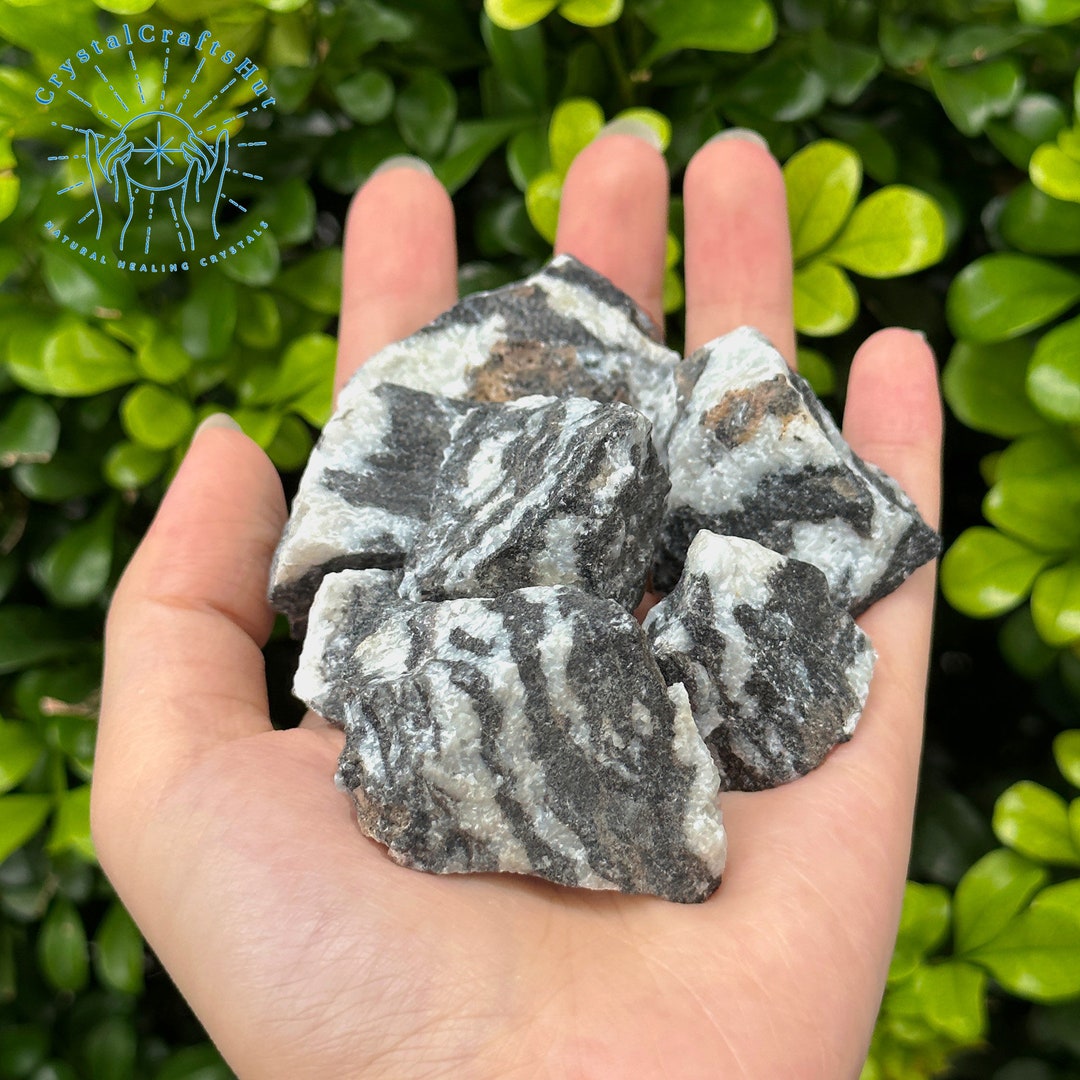 Raw Black and White Zebra Jasper Stone Rough Zebra Jasper Etsy