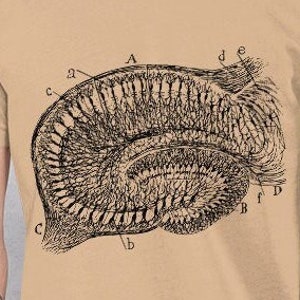 Santiago Ramón y Cajal Hippocampus. Unisex t-shirt