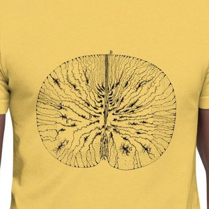 Santiago Ramón y Cajal Spinal Cord. Unisex t-shirt
