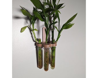 Hydroponic Test Tube Plant Holder, 3D Printed Propagation Wall Mount, Removable & Renter-Friendly Wall Decoration