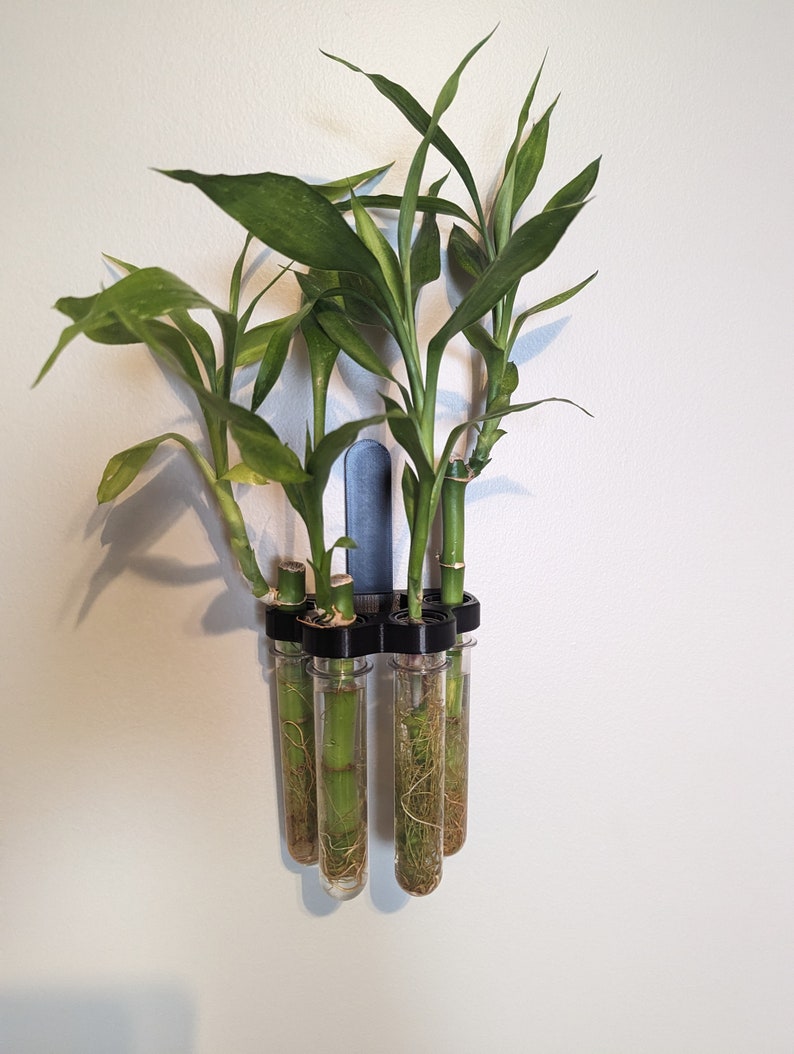 Hydroponic Test Tube Plant Holder, 3D Printed Propagation Wall Mount