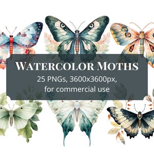 Aquarell Motte Clipart, digitale Kunst Motte, für kommerzielle Nutzung, sofortiger download, 300 dpi