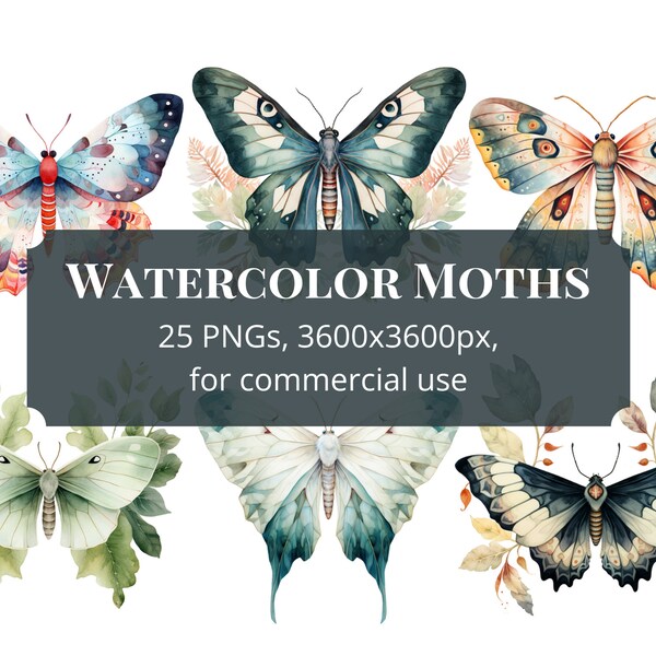 Watercolor Moth Clipart, moth digital art, for commercial use, instant download, 300 dpi