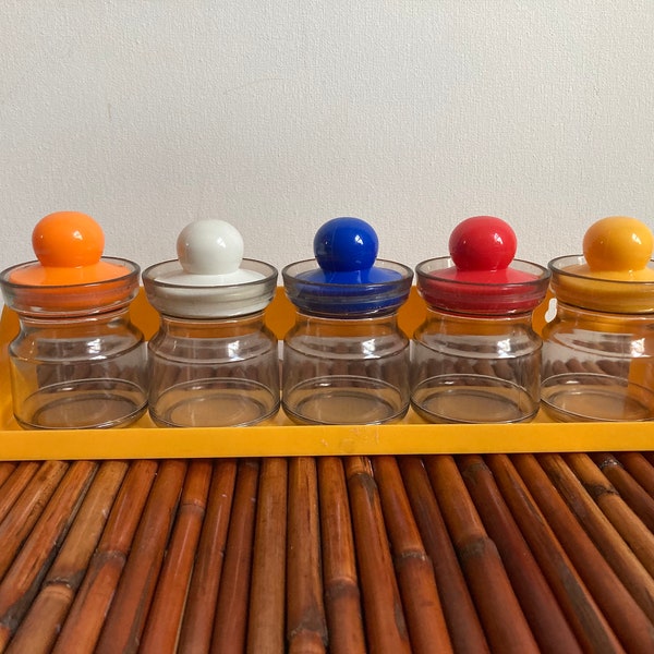 Vintage Primary Colors 5 piece Plastic Spice Jar with Shelf