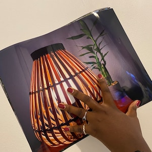 Bamboo Lamp with Potted Plant Image Indoor Decor