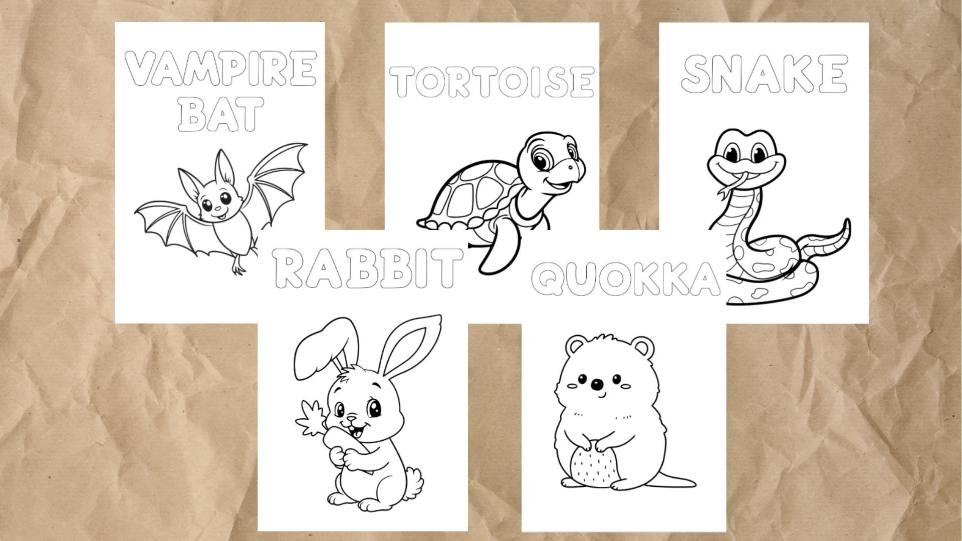 ALPHABET COLORING ANIMAL - Etsy