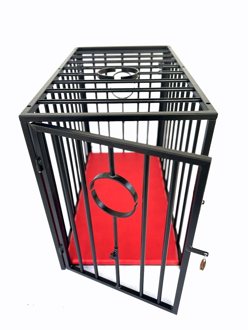 Bad Birds BDSM Cage Etsy
