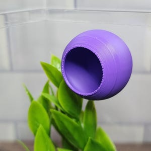 Puede incluir: Una escondite de pl&aacute;stico morado para animales peque&ntilde;os, como reptiles o anfibios. La escondite tiene forma de c&uacute;pula con una abertura redonda. Est&aacute; colgada de la parte superior de un terrario.