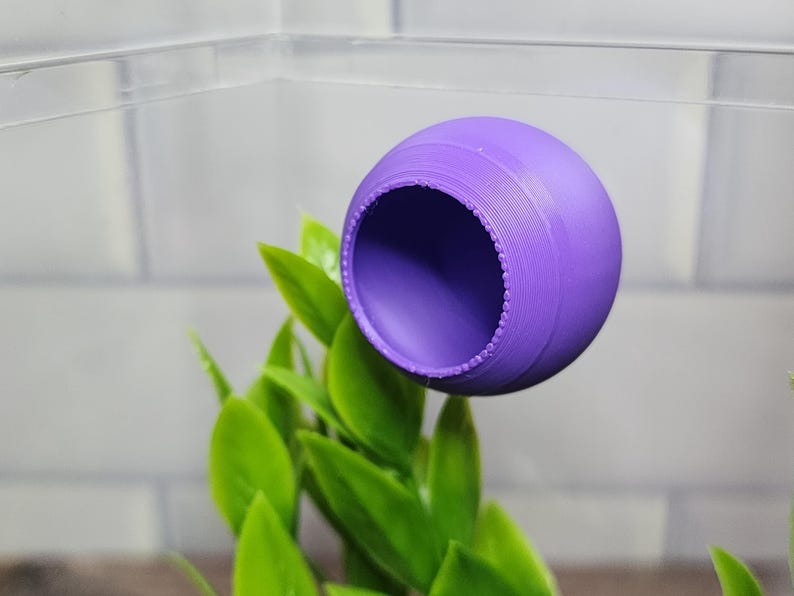 Puede incluir: Una escondite de pl&aacute;stico morado para animales peque&ntilde;os, como reptiles o anfibios. La escondite tiene forma de c&uacute;pula con una abertura redonda. Est&aacute; colgada de la parte superior de un terrario.