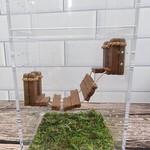 May include: A clear plastic terrarium with a brown wooden bridge and moss on the bottom.