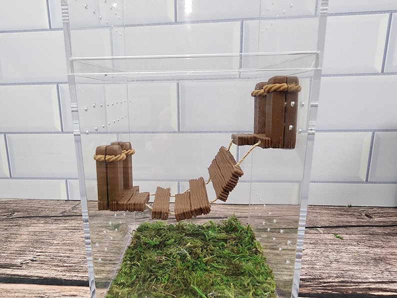 May include: A clear plastic terrarium with a brown wooden bridge and moss on the bottom.