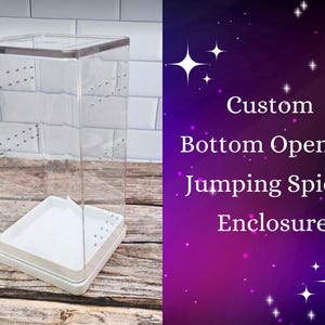 Custom Jumping Spider Bottom Opening Enclosure, Made to Order, Jumping Spider Vivarium, Arboreal Enclosure