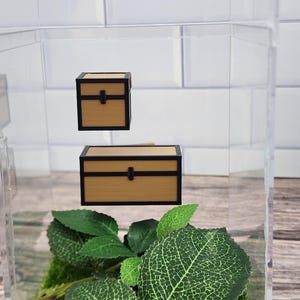 Pode incluir: Dois baús de tesouro de madeira em miniatura com acabamentos e fechos pretos estão suspensos numa vitrine transparente. Os baús são castanhos claros com uma borda preta. Folhas verdes e musgo são visíveis na parte inferior.