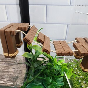 May include: A brown wooden bridge with rope accents for small animals to climb on. The bridge is made of multiple planks and is attached to a glass terrarium.