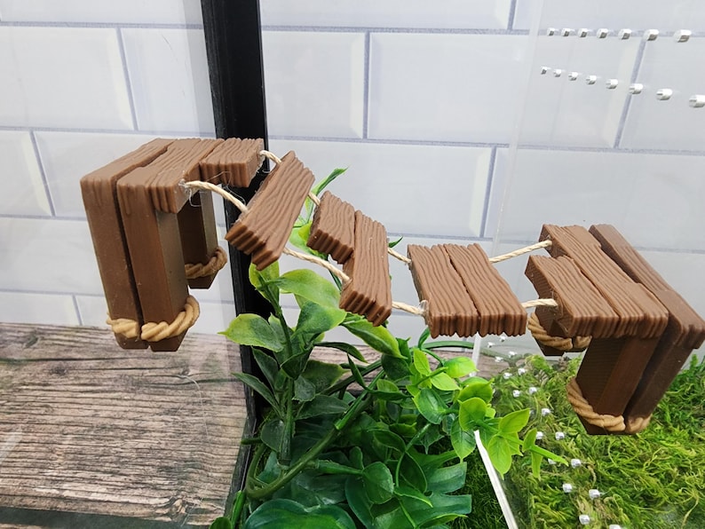 May include: A brown wooden bridge with rope accents for small animals to climb on. The bridge is made of multiple planks and is attached to a glass terrarium.