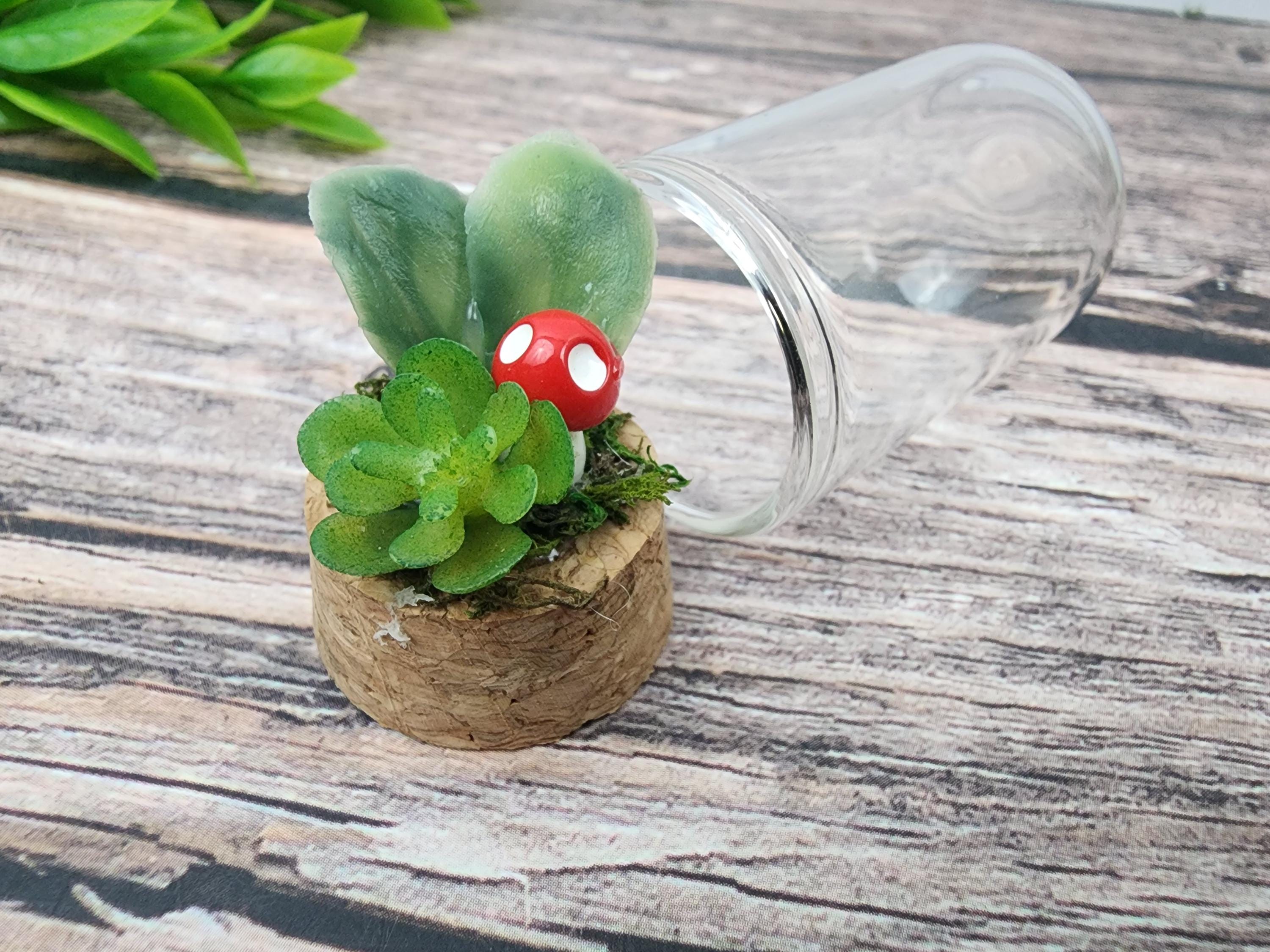 Jumping Spider Memorial Enclosure, Pet Forever Home, Memorial