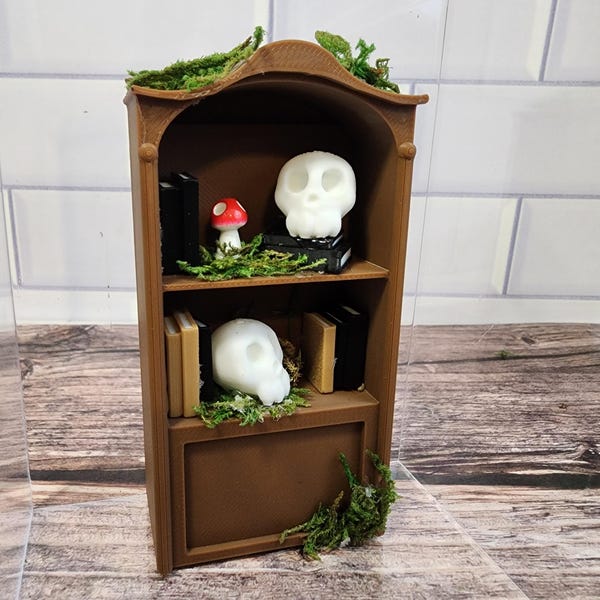Gedecoreerde boekenplank springspin, plank richel, kastmeubels, vivariumboekdecoratie, 3D-geprinte huid, magnetisch decor