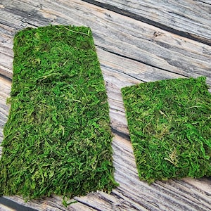 Op de afbeelding: Twee rechthoekige stukken gepreserveerd groen mos. Het mos is een natuurlijk materiaal en wordt vaak gebruikt in ambachten en interieurdecoratie.