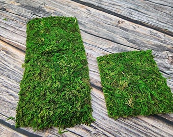 Reptiliensichere Moosplatte, Springspinnen Gehegedekoration, moosiger Grasboden, grüne Moos Wandplatte