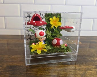 Jumping spider mushroom gamer theme enclosure, Bottom opening predecorated spooder display, invert habitat, spider home, arboreal container