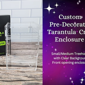 Custom Pre-decorated Front Opening TC Enclosure, Small or Medium Treehouse Jumping Spider Enclosure