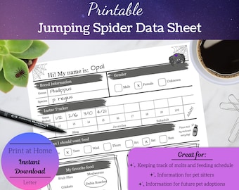 Jumping spider care sheet, printable spider tracker, pet breeding documentation, INSTANT DOWNLOAD