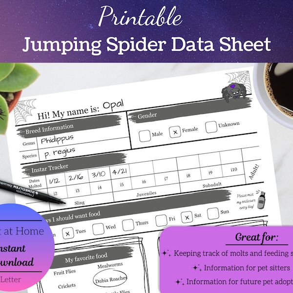 Jumping spider care sheet, printable spider tracker, pet breeding documentation, INSTANT DOWNLOAD