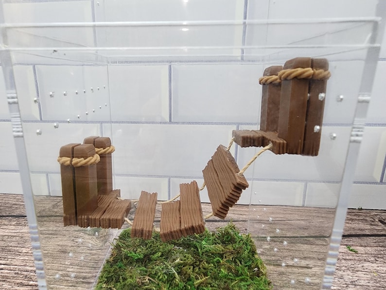 May include: A miniature wooden bridge with rope details, set in a clear plastic container with green moss at the base.