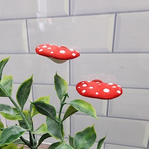 Mushroom ledge, cottagecore jumping spider platform, 3D printed enclosure decor, magnetic ledge