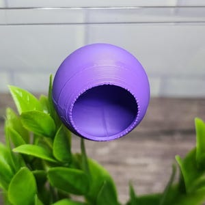 Puede incluir: Una esfera p&uacute;rpura impresa en 3D con un agujero en el lateral, que se asemeja a un peque&ntilde;o escondite o refugio. La esfera est&aacute; suspendida sobre una planta verde de hojas.