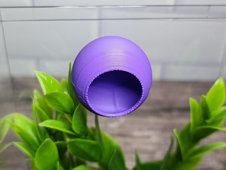 Puede incluir: Una esfera p&uacute;rpura impresa en 3D con un agujero en el lateral, que se asemeja a un peque&ntilde;o escondite o refugio. La esfera est&aacute; suspendida sobre una planta verde de hojas.