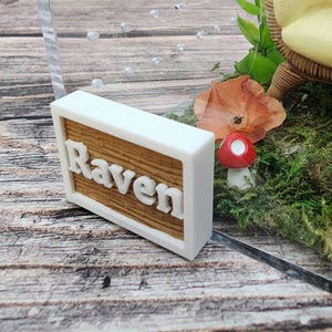Haustier-Namensschild, Magnetgehäuse-Namensschild, springende Spinne, personalisiertes Namensschild, 3D gedrucktes Gehäusedekor, magnetisches Dekor