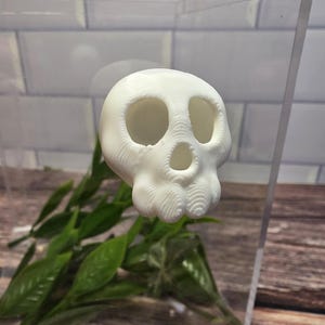 May include: A white, 3D-printed skull with large eye sockets and a detailed, textured surface. The skull is a decorative item, possibly for Halloween or gothic-themed decor. The background includes greenery and a white brick-like wall.