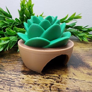 Succulent Tarantula Hide, snake home, terrestrial hide, reptile decor, spider hide, 3d printed enclosure decor, plant and pot decoration